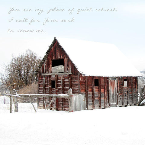 Quiet Retreat  White Modern Wood Framed Art Print by Tyrrell, Lu Anne