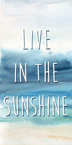 Live in the Sunshine Panel A White Modern Wood Framed Art Print with Double Matting by Coulter, Cynthia