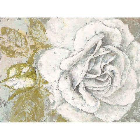 White Rose Blossom Black Modern Wood Framed Art Print with Double Matting by Cusson, Marie Elaine