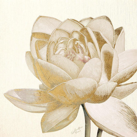 Vintage Lotus Cream II White Modern Wood Framed Art Print by Cusson, Marie Elaine