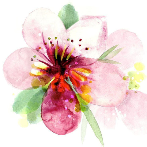 Floral Beauty I Black Modern Wood Framed Art Print by Northern Lights