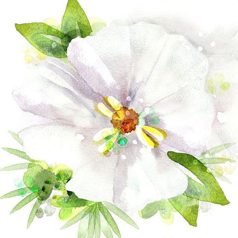 Floral Beauty III White Modern Wood Framed Art Print by Northern Lights