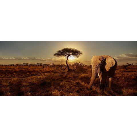 Elephant and Tree Gold Ornate Wood Framed Art Print with Double Matting by Michal, Susan