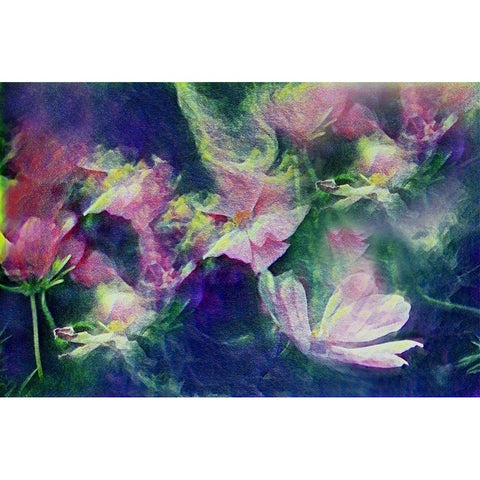 Vintage Black Modern Wood Framed Art Print with Double Matting by Tyrrell, Lu Anne