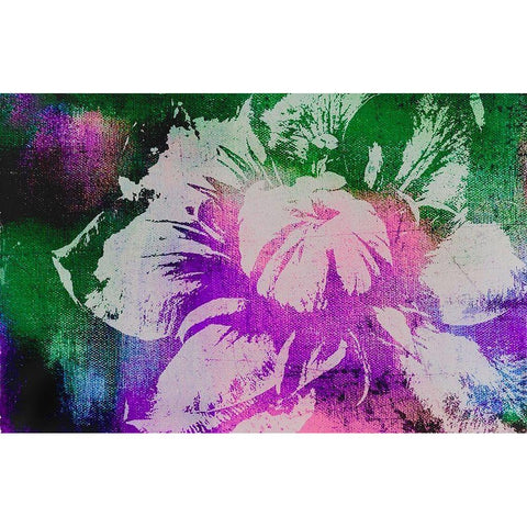 Color Pop Flower Black Modern Wood Framed Art Print with Double Matting by Tyrrell, Lu Anne