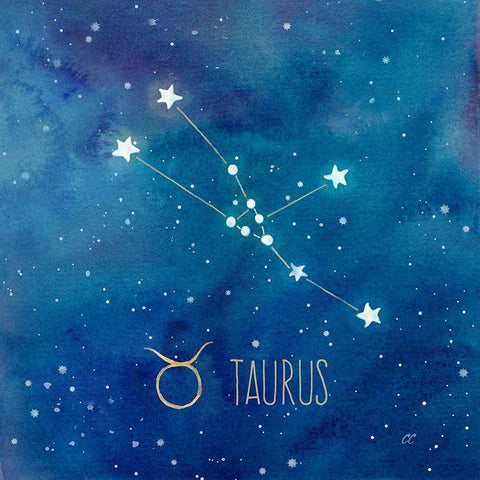 Star Sign Taurus White Modern Wood Framed Art Print by Coulter, Cynthia