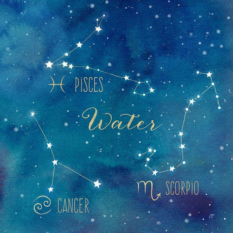 Star Sign Water White Modern Wood Framed Art Print with Double Matting by Coulter, Cynthia