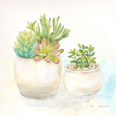 Sweet Succulent Pots I White Modern Wood Framed Art Print by Coulter, Cynthia