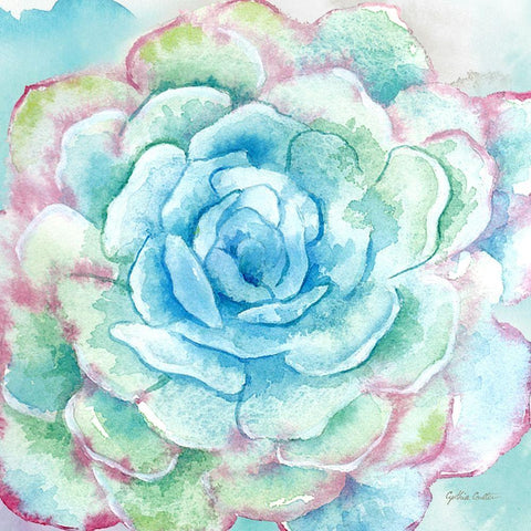 Sweet Succulents I White Modern Wood Framed Art Print by Coulter, Cynthia