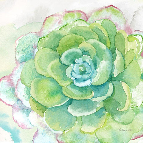 Sweet Succulents IV White Modern Wood Framed Art Print with Double Matting by Coulter, Cynthia