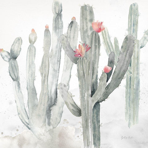 Cactus Garden Gray Blush II White Modern Wood Framed Art Print by Coulter, Cynthia