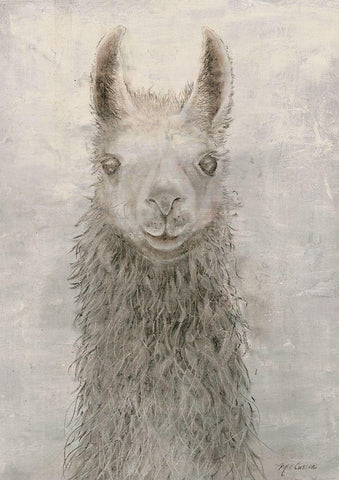 Llama Portrait Black Ornate Wood Framed Art Print with Double Matting by Cusson, Marie Elaine