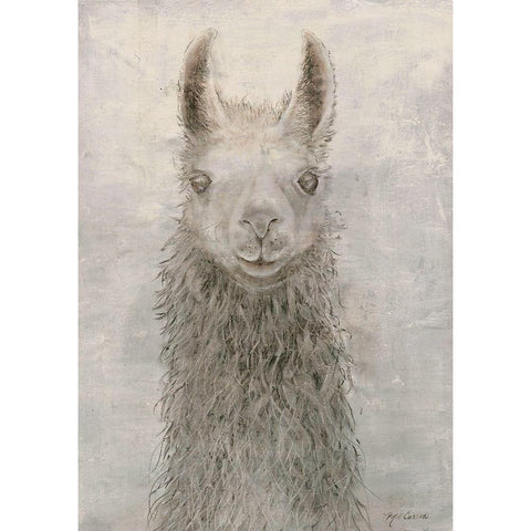 Llama Portrait Black Modern Wood Framed Art Print by Cusson, Marie Elaine