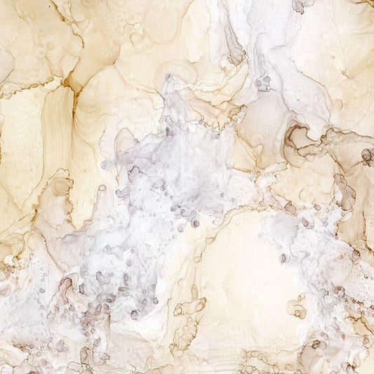 Image Only