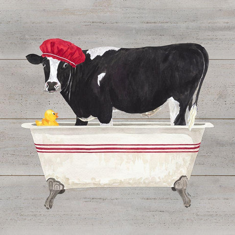 Bath time for Cows Tub White Modern Wood Framed Art Print with Double Matting by Reed, Tara