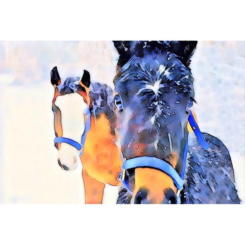 Snow Horses Black Modern Wood Framed Art Print with Double Matting by Tyrrell, LuAnne