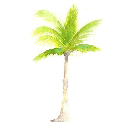 Image Only