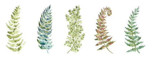 Botanical Ferns Panel White Modern Wood Framed Art Print with Double Matting by Tre Sorelle Studios