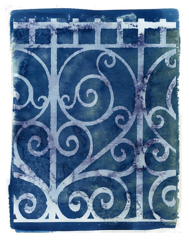 Wrought Iron Cyanotype I Black Ornate Wood Framed Art Print with Double Matting by Green, Nancy
