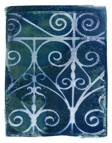 Wrought Iron Cyanotype II Black Ornate Wood Framed Art Print with Double Matting by Green, Nancy