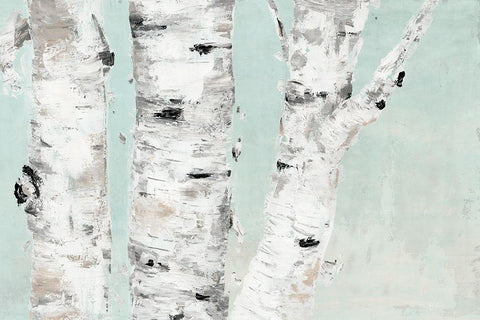Birch Tree Close Up Black Ornate Wood Framed Art Print with Double Matting by Cusson, Marie-Elaine