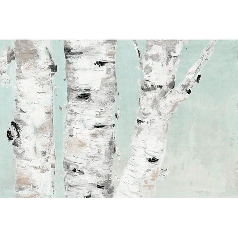 Birch Tree Close Up Black Modern Wood Framed Art Print by Cusson, Marie-Elaine