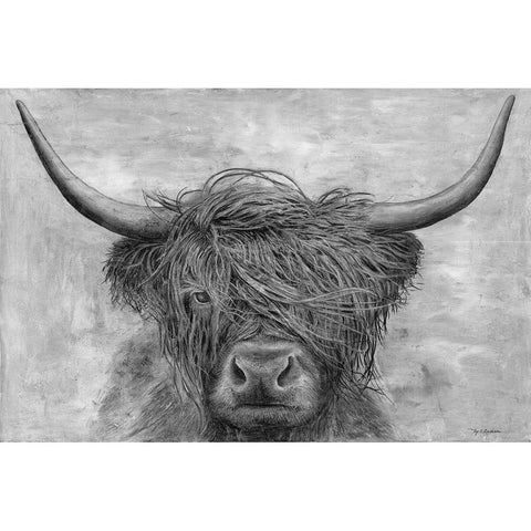 Norwegian Bison Black Modern Wood Framed Art Print with Double Matting by Cusson, Marie-Elaine