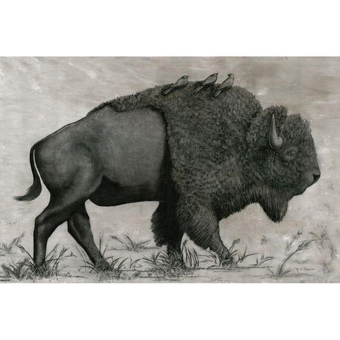 Basking Buffalo White Modern Wood Framed Art Print by Cusson, Marie-Elaine