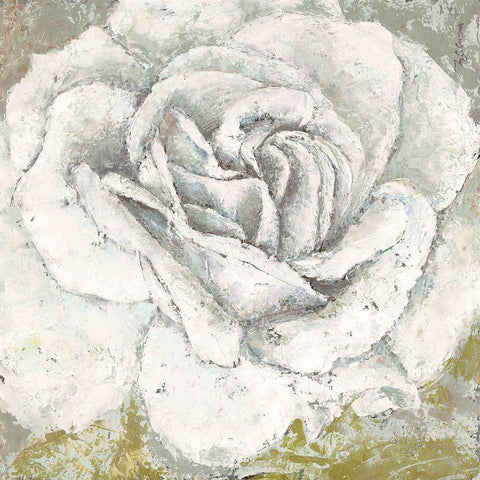 White Rose Blossom Square Black Modern Wood Framed Art Print with Double Matting by Cusson, Marie-Elaine