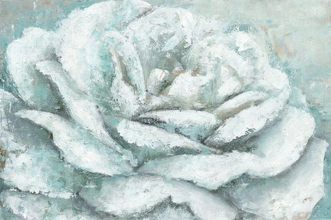 White Rose Splendor Black Ornate Wood Framed Art Print with Double Matting by Cusson, Marie-Elaine
