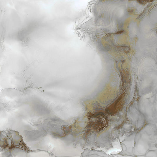 Image Only