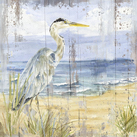 Birds of the Coast Rustic I White Modern Wood Framed Art Print with Double Matting by Reed, Tara