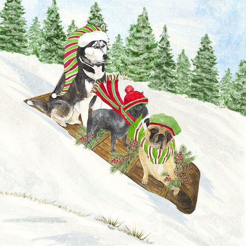 Dog Days of Christmas III-Sledding Black Modern Wood Framed Art Print with Double Matting by Reed, Tara