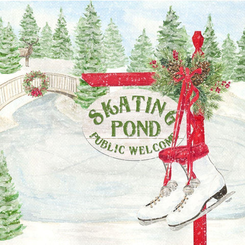 Sleigh Bells Ring I-Skating Pond White Modern Wood Framed Art Print with Double Matting by Reed, Tara