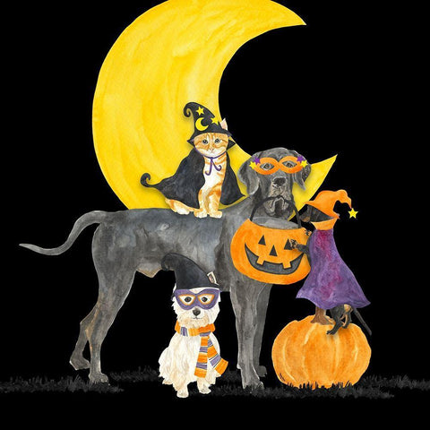 Fright Night Friends II-Dog with Pumpkin Black Ornate Wood Framed Art Print with Double Matting by Reed, Tara