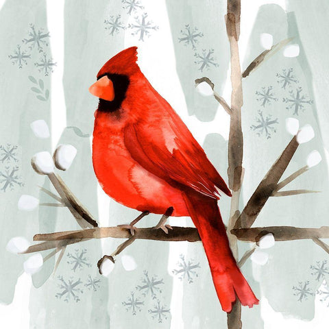 Christmas Hinterland I-Cardinal White Modern Wood Framed Art Print with Double Matting by Northern Lights
