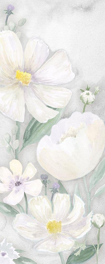 Image Only