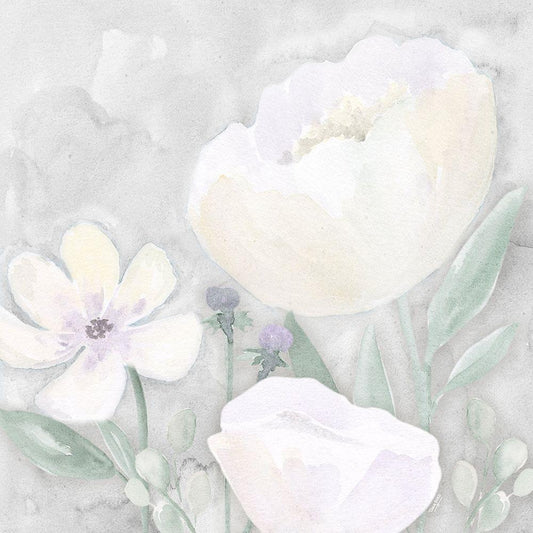 Image Only