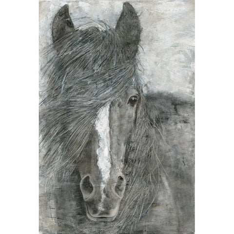 Horse in the Wind Black Modern Wood Framed Art Print with Double Matting by Cusson, Marie Elaine