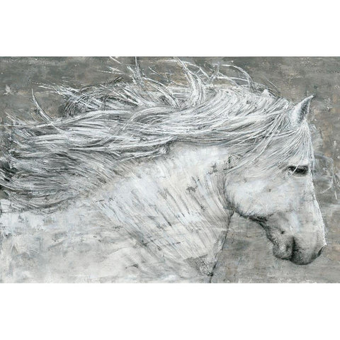 Wild Horse Black Modern Wood Framed Art Print with Double Matting by Cusson, Marie Elaine