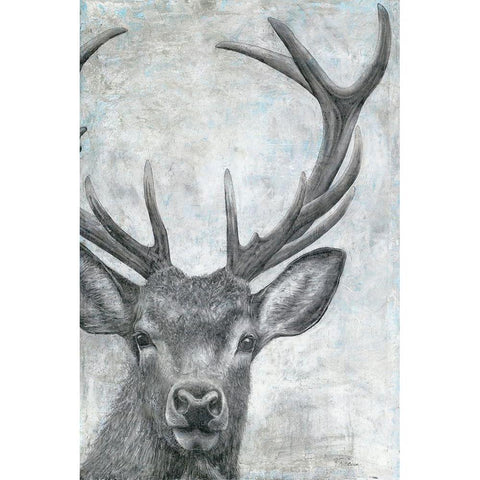 Portrait of a Deer White Modern Wood Framed Art Print by Cusson, Marie Elaine