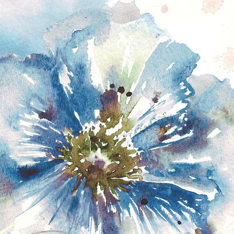 Blue Watercolor Poppy Close Up I White Modern Wood Framed Art Print with Double Matting by Tre Sorelle Studios