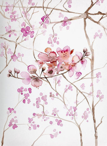 Cherry Blossoms White Modern Wood Framed Art Print with Double Matting by Bijou, Andrea