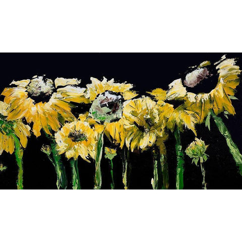 Sunflower Field on Black Black Modern Wood Framed Art Print with Double Matting by Chapman, Marcy