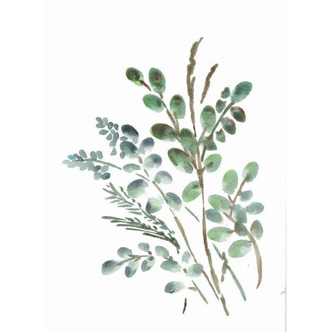 Farmhouse Botanicals II White Modern Wood Framed Art Print by Chapman, Marcy