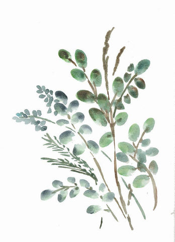 Farmhouse Botanicals II White Modern Wood Framed Art Print with Double Matting by Chapman, Marcy