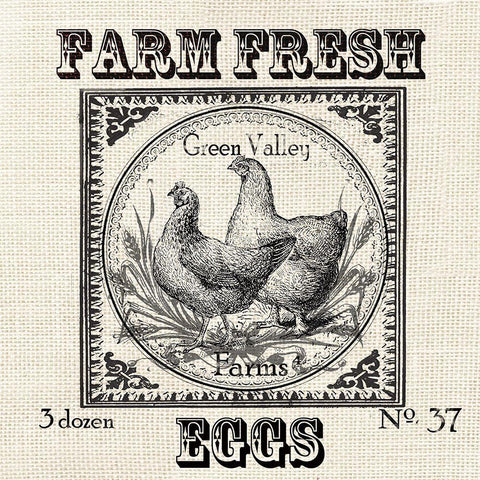 Farmhouse Grain Sack Label Chickens White Modern Wood Framed Art Print with Double Matting by Tre Sorelle Studios