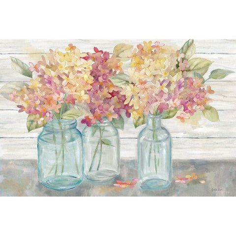 Farmhouse Hydrangeas in Mason Jars Spice Black Modern Wood Framed Art Print with Double Matting by Coulter, Cynthia