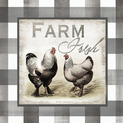 Buffalo Check Farm House Chickens Neutral II White Modern Wood Framed Art Print by Tre Sorelle Studios