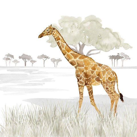 Serengeti Giraffe Square White Modern Wood Framed Art Print by Reed, Tara